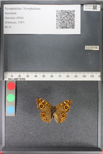 Media type: image;   Entomology 110915